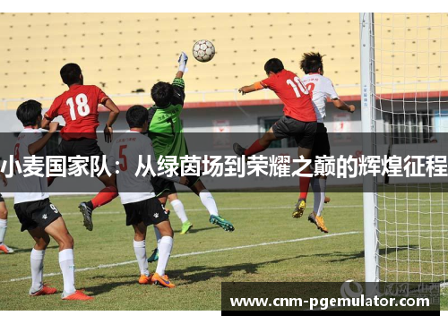 小麦国家队：从绿茵场到荣耀之巅的辉煌征程