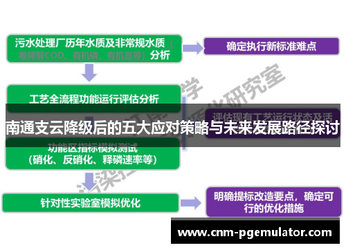 南通支云降级后的五大应对策略与未来发展路径探讨