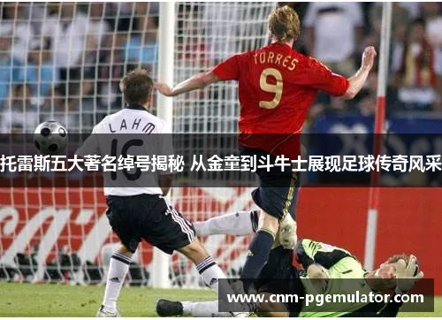 托雷斯五大著名绰号揭秘 从金童到斗牛士展现足球传奇风采