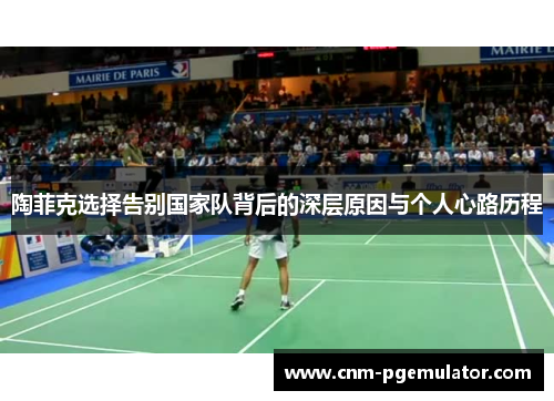 陶菲克选择告别国家队背后的深层原因与个人心路历程 陶菲克选择告别国家队背后的深层原因与个人心路历程