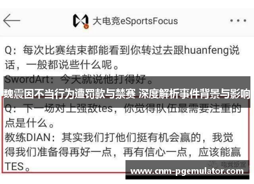 魏震因不当行为遭罚款与禁赛 深度解析事件背景与影响