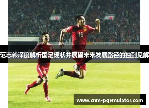 范志毅深度解析国足现状并展望未来发展路径的独到见解