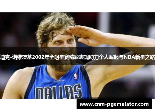 迪克·诺维茨基2002年全明星赛精彩表现助力个人崛起与NBA新星之路