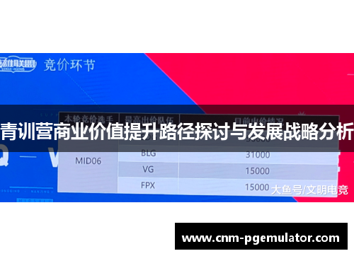 青训营商业价值提升路径探讨与发展战略分析