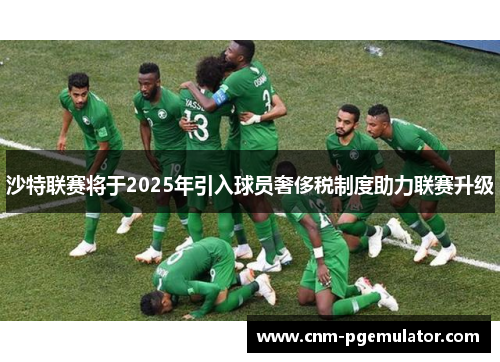 沙特联赛将于2025年引入球员奢侈税制度助力联赛升级