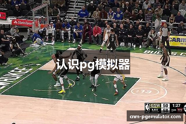 认识pg模拟器